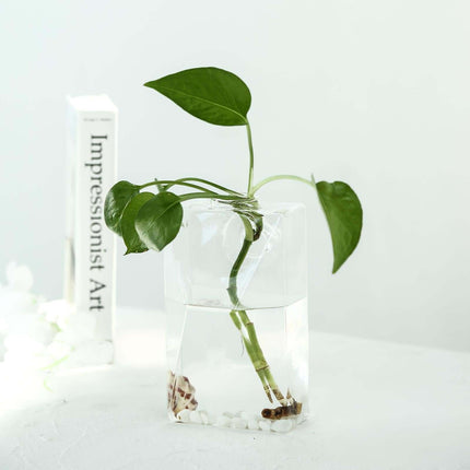 AliKopy 3-Pack Trapezoid Glass Wall Vases - Modern Indoor Planters