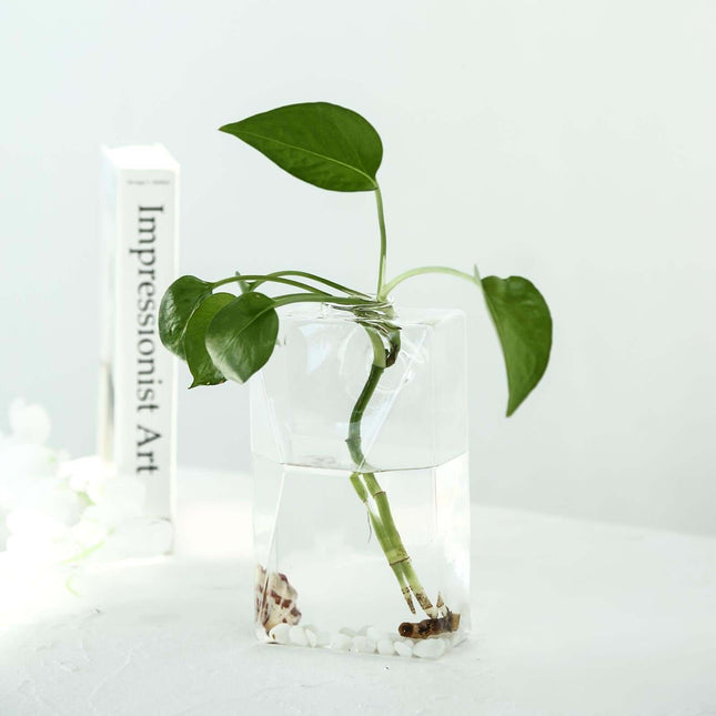 AliKopy 3-Pack Trapezoid Glass Wall Vases - Modern Indoor Planters