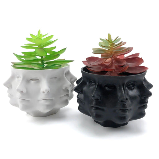 Natural Elegance Multi-Faceted Succulent Holder - Enhance Your Space with Style