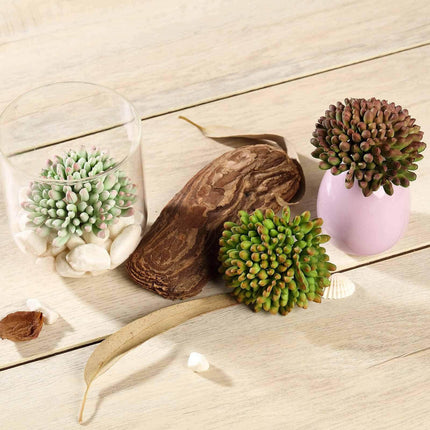 AliKopy 3 Pack Mini 4" PVC Jelly Bean Succulent Plants, Realistic Deco