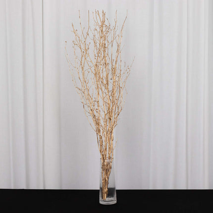 AliKopy 6-Pack 46" Metallic Gold Birch Branches - Decorative Twigs for