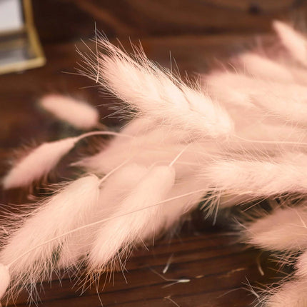 AliKopy 50-Pack Dried Bunny Tail Grass - Blush Lagurus Ovatus, 15