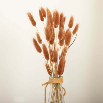 AliKopy 50-Pack Dried Bunny Tail Grass - 15" for Floral Displays & Dec