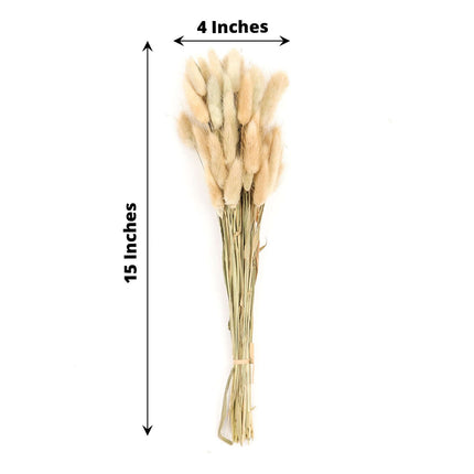 AliKopy 50-Pack Dried Bunny Tail Grass - Rustic 15" Decorative Stems