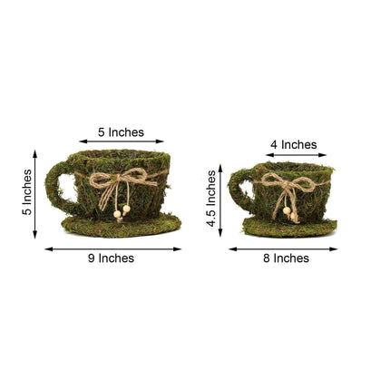 AliKopy Set of 2 Teacup Planters with Preserved Moss - 5" & 4