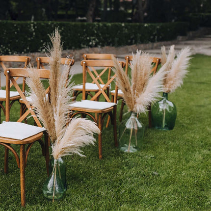 AliKopy 6 Stems Dried Pampas Grass - Off White, 32" for Boho Decor