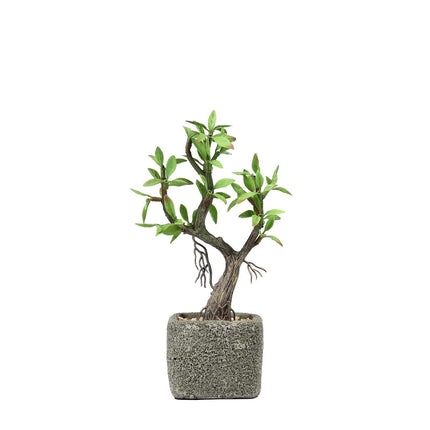AliKopy Willow Tree Faux Succulents in Concrete Pot - 9" Lifelike Deco