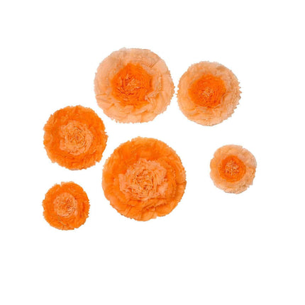 AliKopy Set of 6 Coral Orange 3D Carnation Paper Flowers Wall Decor