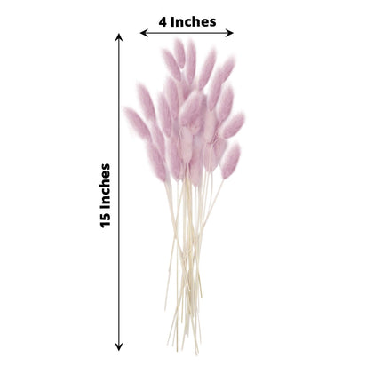 AliKopy 50-Pack Dried Bunny Tail Grass - Lavender Lilac, 15" Rustic De