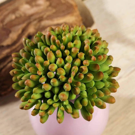 AliKopy 3 Pack Mini 4" PVC Jelly Bean Succulent Plants, Realistic Deco
