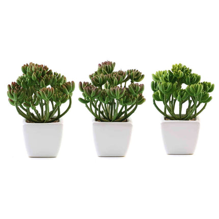 AliKopy 3-Pack Stonecrop Artificial Succulents - Lifelike Decor, 7