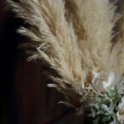 AliKopy 6 Stems Natural Dried Pampas Grass - 49" Tall Boho Decor