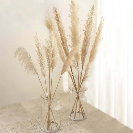 AliKopy 6 Stems Natural Dried Pampas Grass - 49" Tall Boho Decor