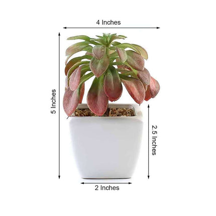 AliKopy 3-Pack Lifelike Artificial Succulents in Ceramic Pots - 5