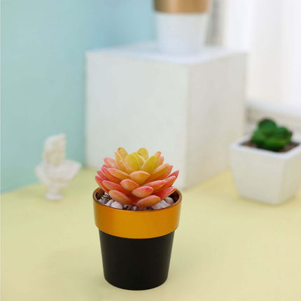 AliKopy 3-Pack Small Black Flower Pots with Gold Rim - Durable Plastic