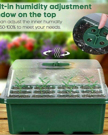 Ultimate Plant Growth Booster Kit for Bonsai, Blooms, and Herbs