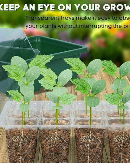 Ultimate Plant Growth Booster Kit for Bonsai, Blooms, and Herbs