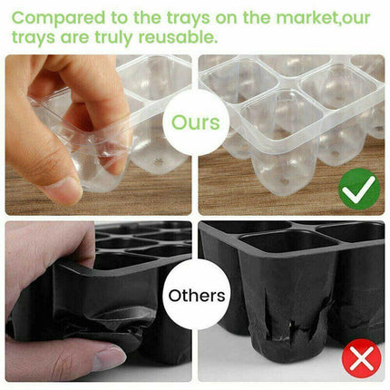 Ultimate Plant Growth Booster Kit for Bonsai, Blooms, and Herbs