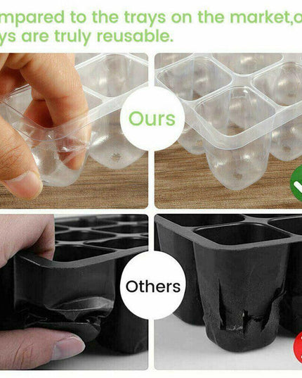 Ultimate Plant Growth Booster Kit for Bonsai, Blooms, and Herbs