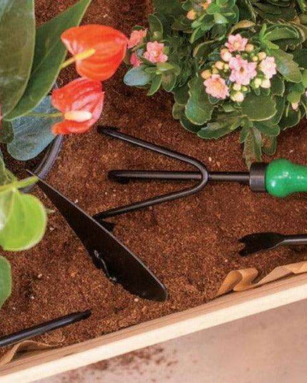Essential 3-Piece Gardening Toolkit: Hoe, Weeder, and Rake for Garden Mastery