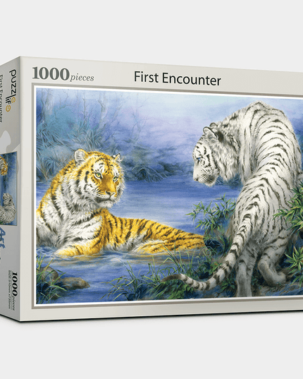 "Magical Meeting" 1000-Piece Jigsaw Puzzle Set by Puzzle Life