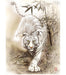 Majestic White Tiger 500-Piece Jigsaw Puzzle - Premium Quality for Ultimate Enjoyment