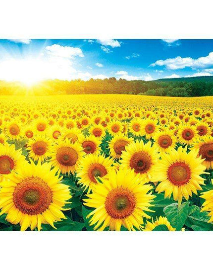 Sunflower Oasis 1000-Piece Jigsaw Puzzle - Luxury Edition