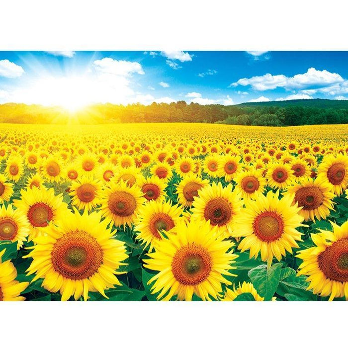 Sunflower Field 6 1000-Piece Jigsaw Puzzle - Deluxe Edition