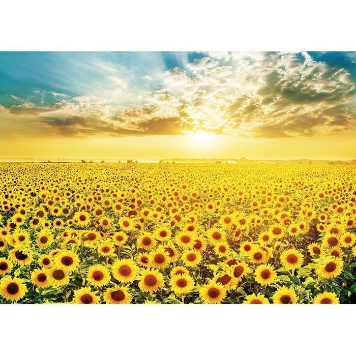 Serenity in Sunflower Fields 1000-Piece Jigsaw Puzzle for Framing