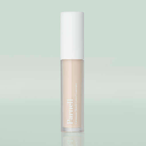 Parnell Cicamanu Skinfit Cover Concealer 5g (2colors)