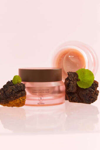 HEVEBLUE Chaga Cica Exosome Derma Coating Balm 55g