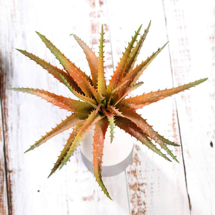 AliKopy 3 Pack 12" PVC Aloe Cameronii - Realistic, Low Maintenance Suc