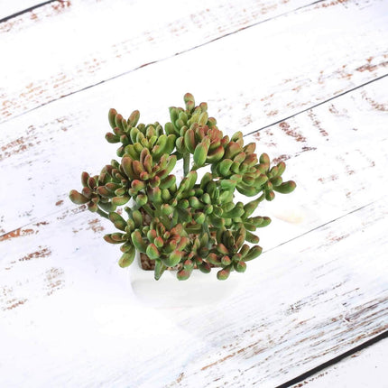 AliKopy 3-Pack Stonecrop Artificial Succulents - Lifelike Decor, 7
