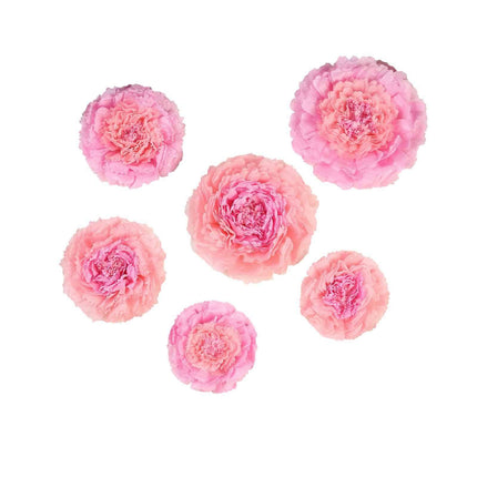AliKopy 3D Blush Pink Carnation Paper Flowers Wall Decor - Set of 6, 7