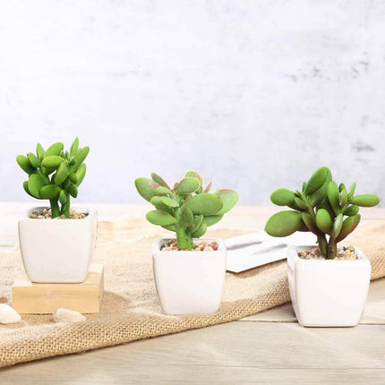 AliKopy 3-Pack Mini Jade Artificial Succulents - Lifelike Ceramic Pots