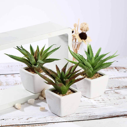AliKopy 3-Pack Lifelike Aloe Vera Faux Succulents in Ceramic Pots