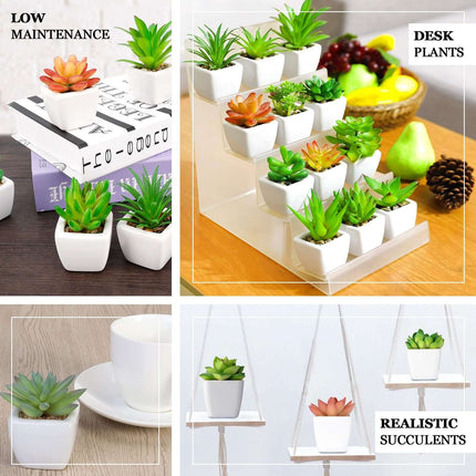 AliKopy 3-Pack Aloe Artificial Succulents in Ceramic Pots - Lifelike D