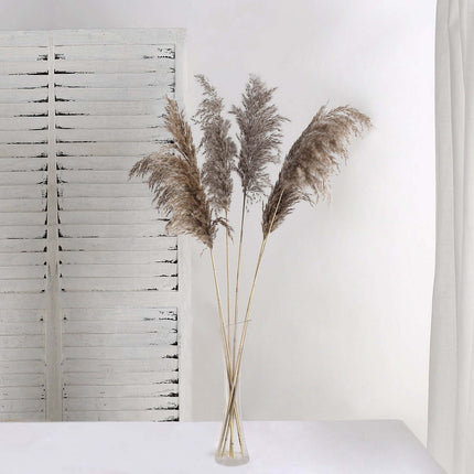 AliKopy 6 Stems Natural Dried Pampas Grass - 32" Boho Chic Decor