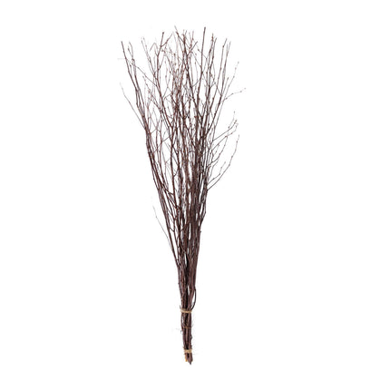AliKopy 6-Pack 46" Natural Birch Branches - Versatile Decorative Stick