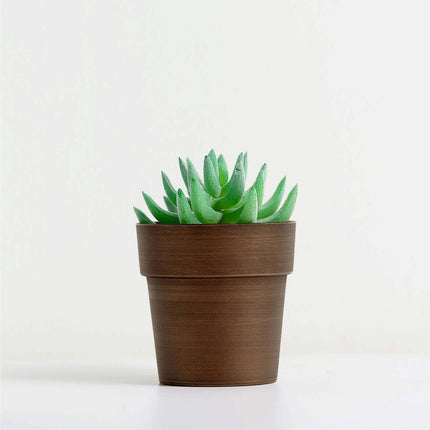 AliKopy 3-Pack Rustic Brown Small Flower Plant Pots - Durable Plastic,