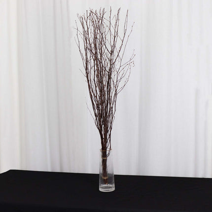 AliKopy 6-Pack 46" Natural Birch Branches - Versatile Decorative Stick