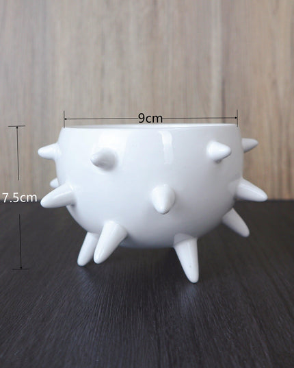 Sea Urchin-Inspired Ceramic Dining Plates: Experience Culinary Elegance with French Charm