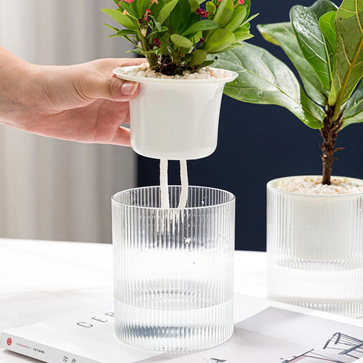 Clear Self-Watering Planter for Indoor Plants with High-Definition Monitoring