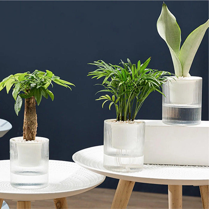 Transparent Self-Watering Indoor Planter with HD Water Level Monitoring