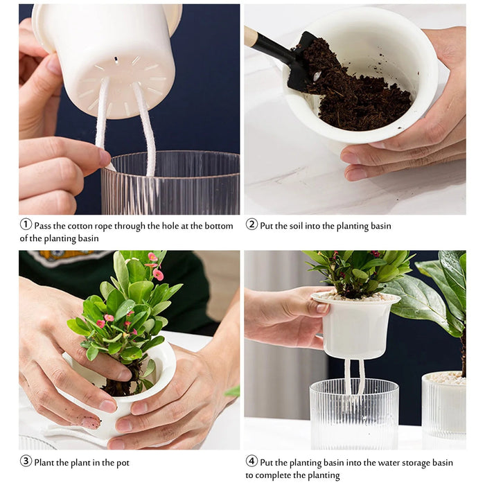 Automatic Clear Self-Watering Planter for Indoor Plants and African Violets