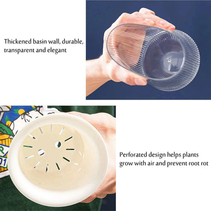 Transparent Self-Watering Indoor Planter with HD Water Level Monitoring