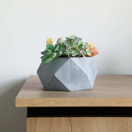 AliKopy Mini Cement Geometric Planter - 7" Gray Finish, Modern Design