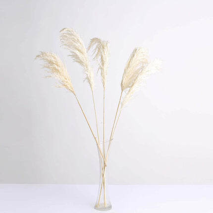 AliKopy 6 Stems Dried Pampas Grass - Off White, 32" for Boho Decor
