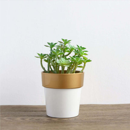 AliKopy 3-Pack Small White Flower Pots with Gold Rim - Decorative 3" P