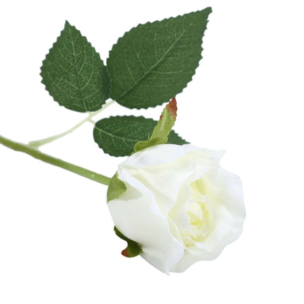 AliKopy 31" Cream Long Stem Silk Roses - 24 Pcs, Realistic & Durable